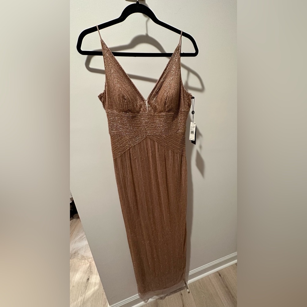 Adrianna Pappell maxi dress